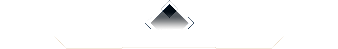 十年底蕴  来于玩家  忠于玩家  更服务于玩家